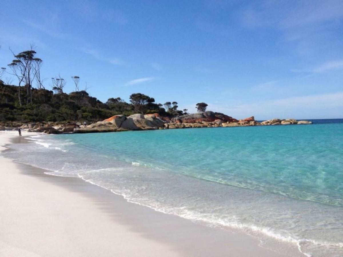 The Loft @ Bay Of Fires Seascape Apartment Binalong Bay Bagian luar foto