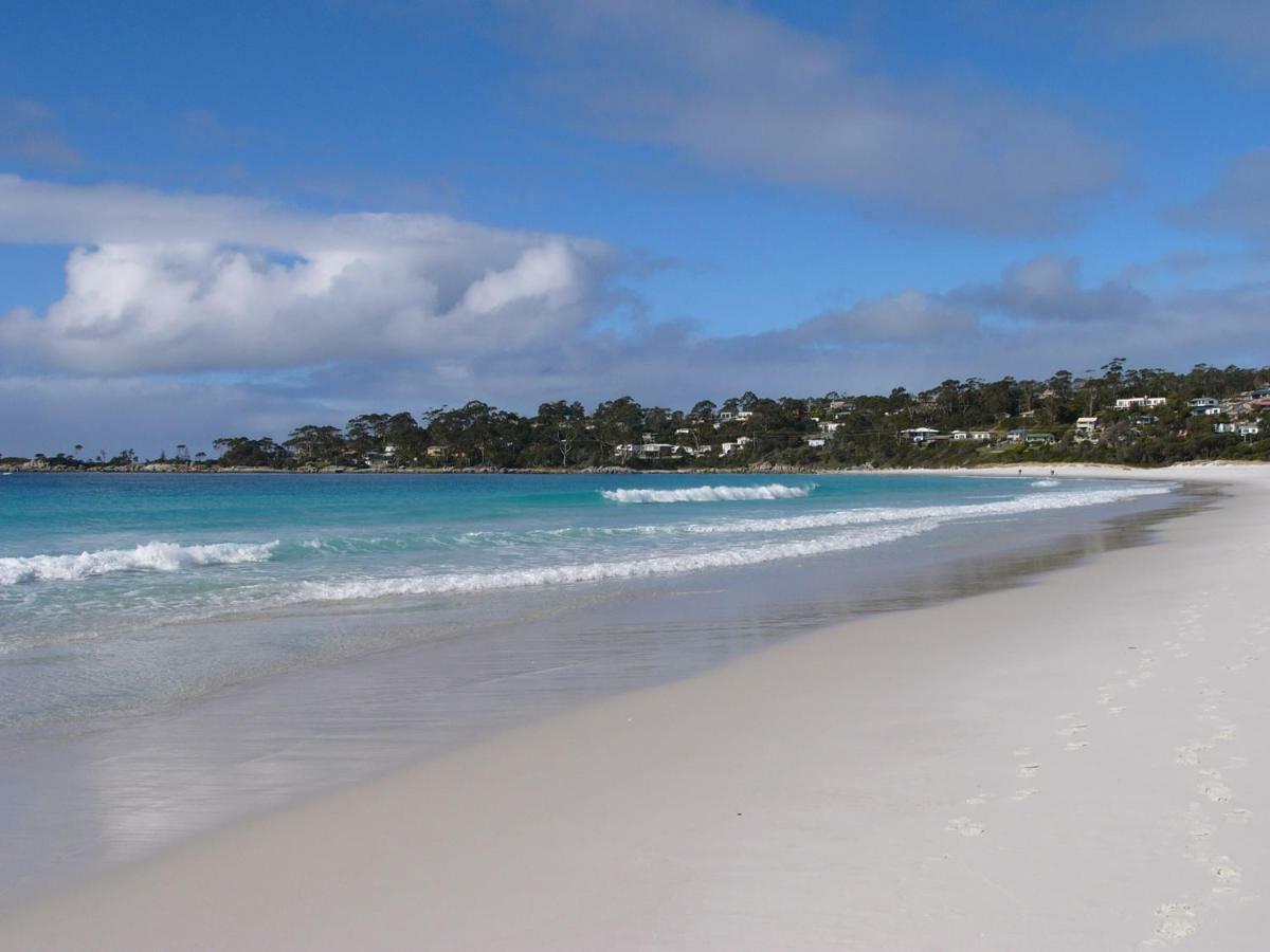 The Loft @ Bay Of Fires Seascape Apartment Binalong Bay Bagian luar foto